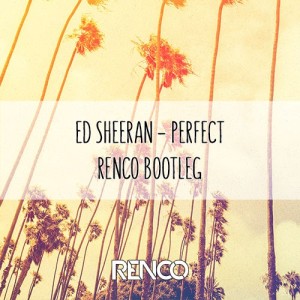 Perfect (Renco Bootleg)